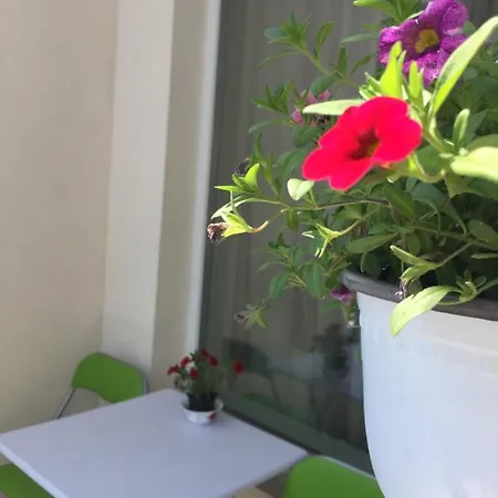 Apartment Raido Perla
